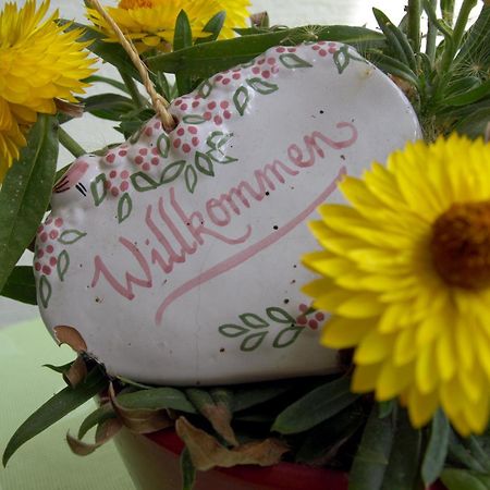 Winzerhof Michael Gartner Bed & Breakfast Illmitz Luaran gambar