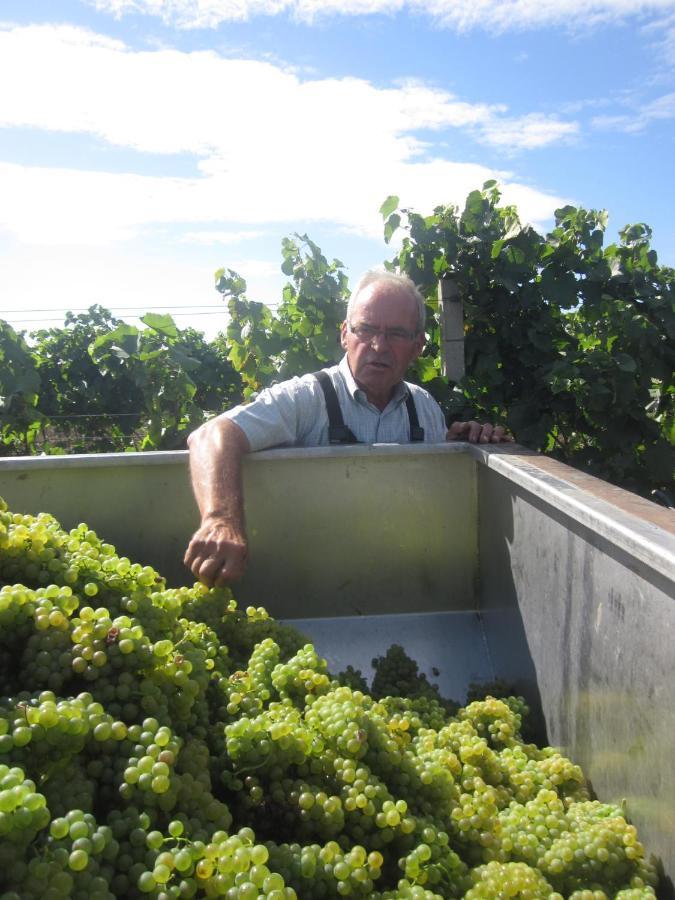 Winzerhof Michael Gartner Bed & Breakfast Illmitz Luaran gambar